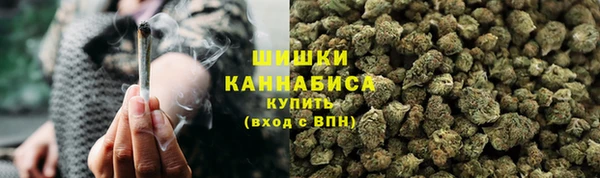 ПСИЛОЦИБИНОВЫЕ ГРИБЫ Зерноград