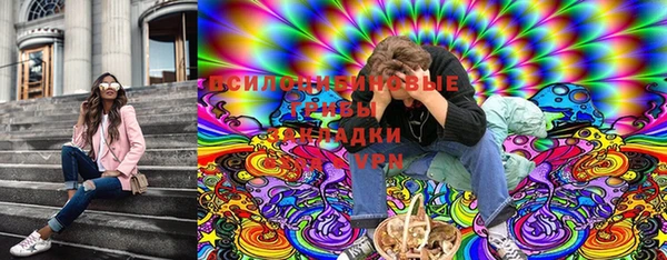 ПСИЛОЦИБИНОВЫЕ ГРИБЫ Зерноград