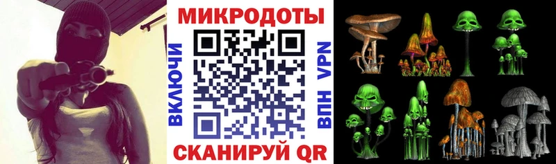 Купить  Судак  Псилоцибиновые грибы ЛСД 